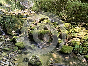 Small mountain river GerovÃÂica, Zamost - Region of Gorski kotar, Croatia / Mala gorska rijeka GerovÃÂica photo